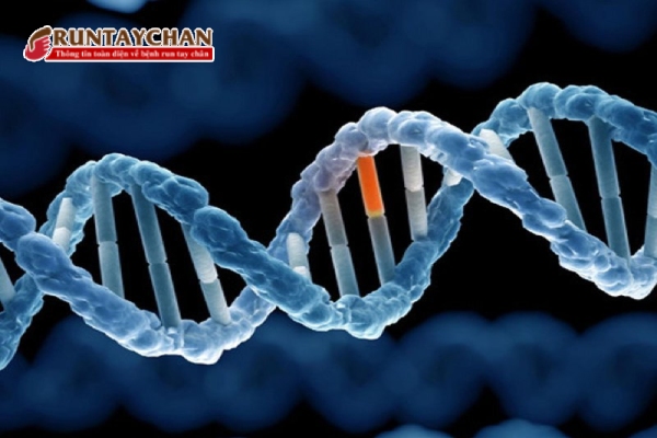 Đột biến gen có thể là nguyên nhân gây ra bệnh Parkinson
